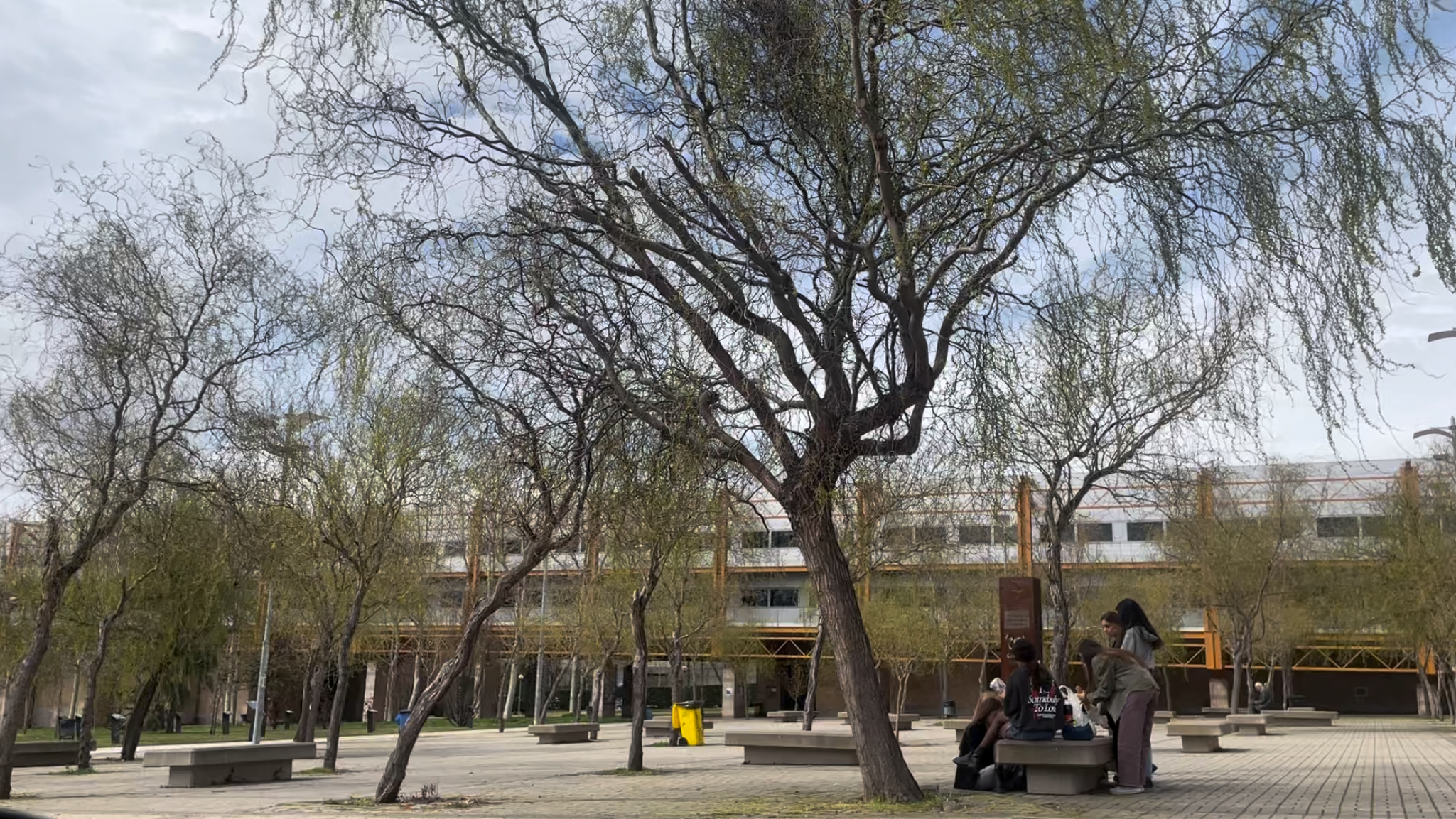 ¿Qué es la Ley de enseñanzas artísticas?