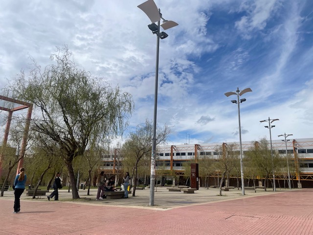 ¿Cuáles son los grados universitarios más difíciles?