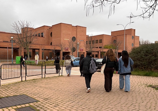 ¿Para qué estudios puedes solicitar una beca?